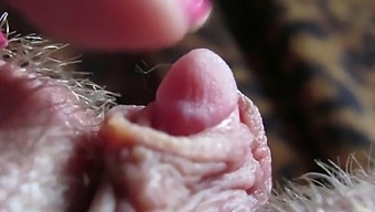 Intense Close-Up Of My Enormous Clitoris Head Throbbing During Sexual Intercourse