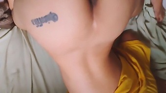 A Collection Of My Husband'S Favorite Porn Stars In One Video